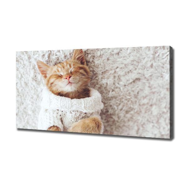 Canvas wall art A kitten in a sweater