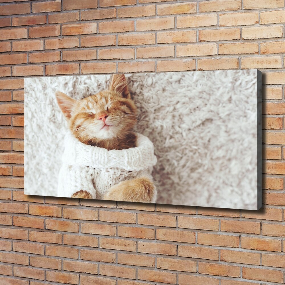 Canvas wall art A kitten in a sweater