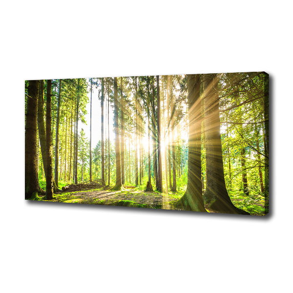 Canvas wall art Forest in the sun