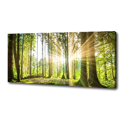 Canvas wall art Forest in the sun