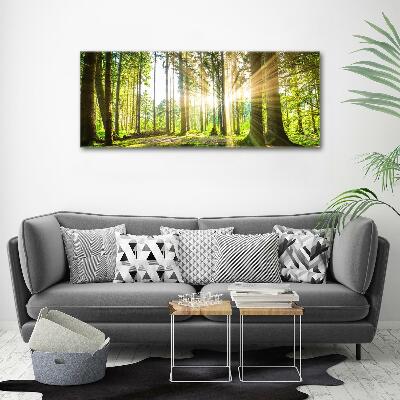 Canvas wall art Forest in the sun