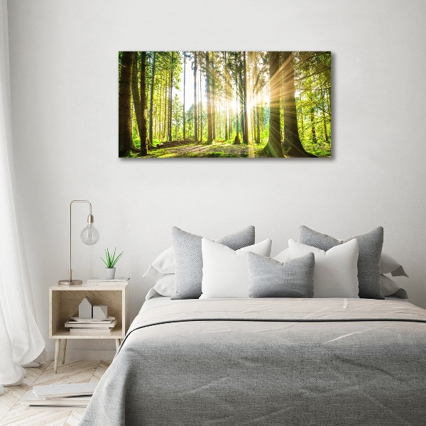 Canvas wall art Forest in the sun