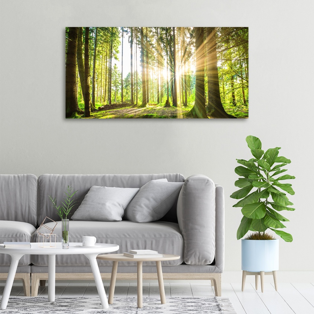 Canvas wall art Forest in the sun