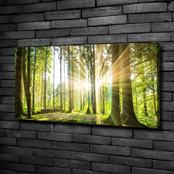 Canvas wall art Forest in the sun