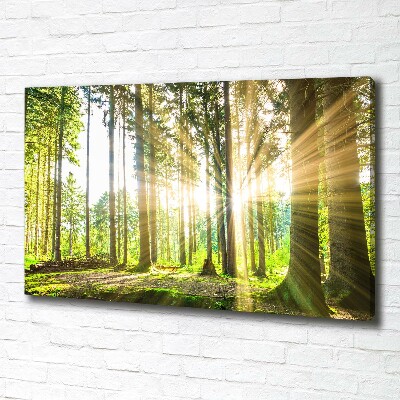 Canvas wall art Forest in the sun