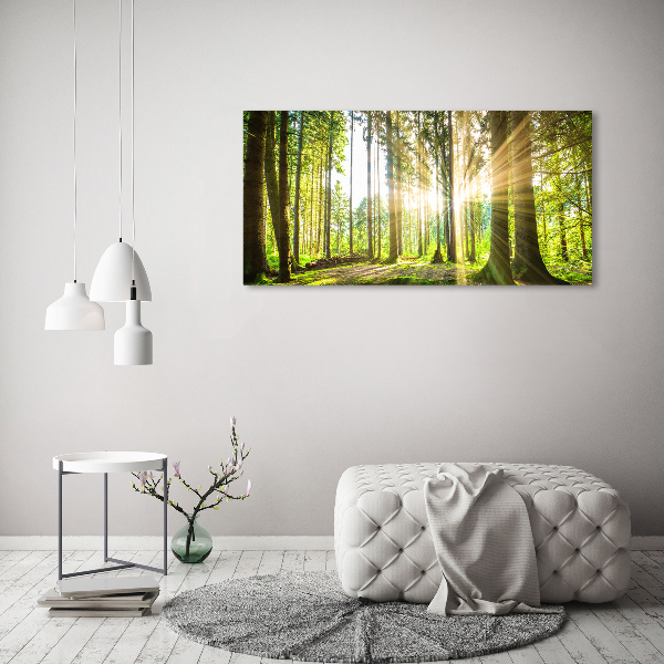 Canvas wall art Forest in the sun