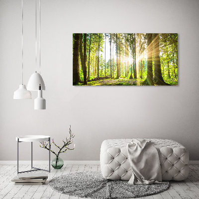 Canvas wall art Forest in the sun