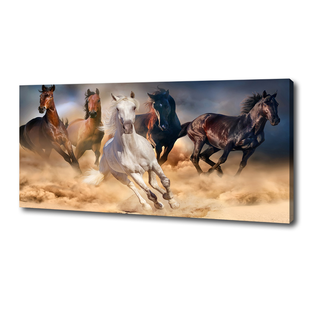 Canvas wall art Horses at gallop