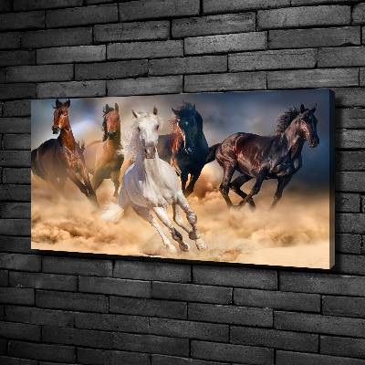 Canvas wall art Horses at gallop