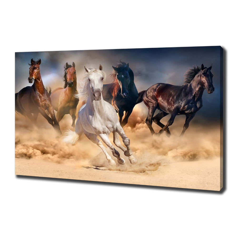 Canvas wall art Horses at gallop