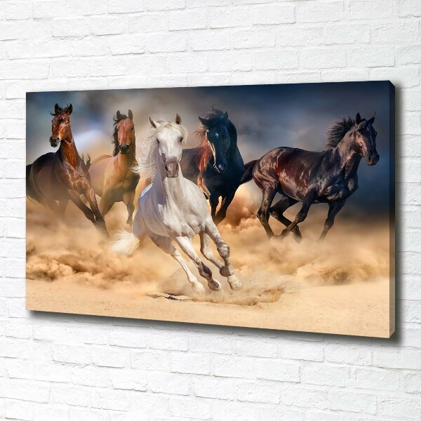 Canvas wall art Horses at gallop