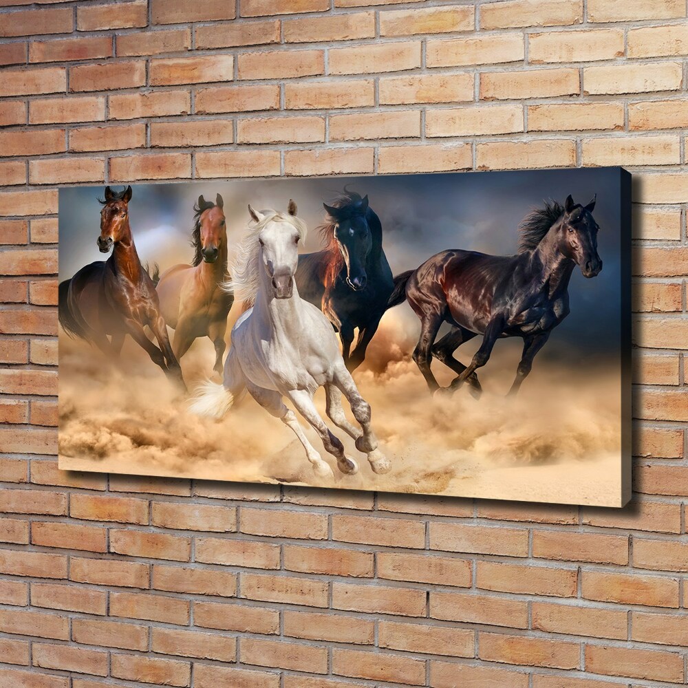 Canvas wall art Horses at gallop