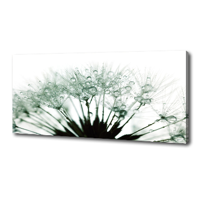 Canvas wall art Dandelion seeds