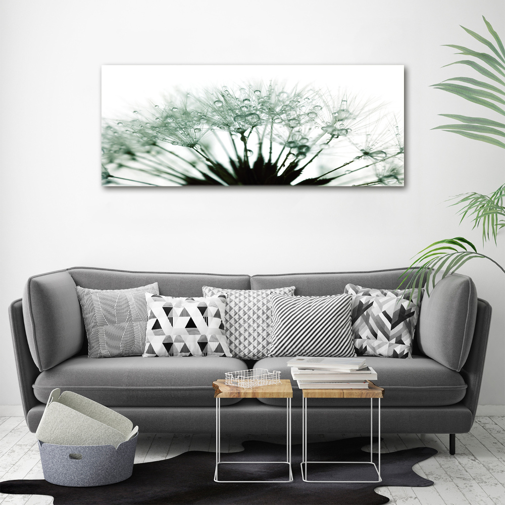 Canvas wall art Dandelion seeds