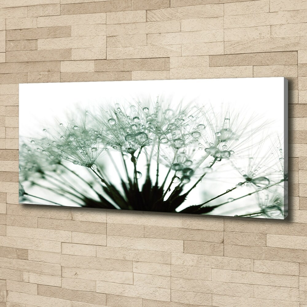 Canvas wall art Dandelion seeds