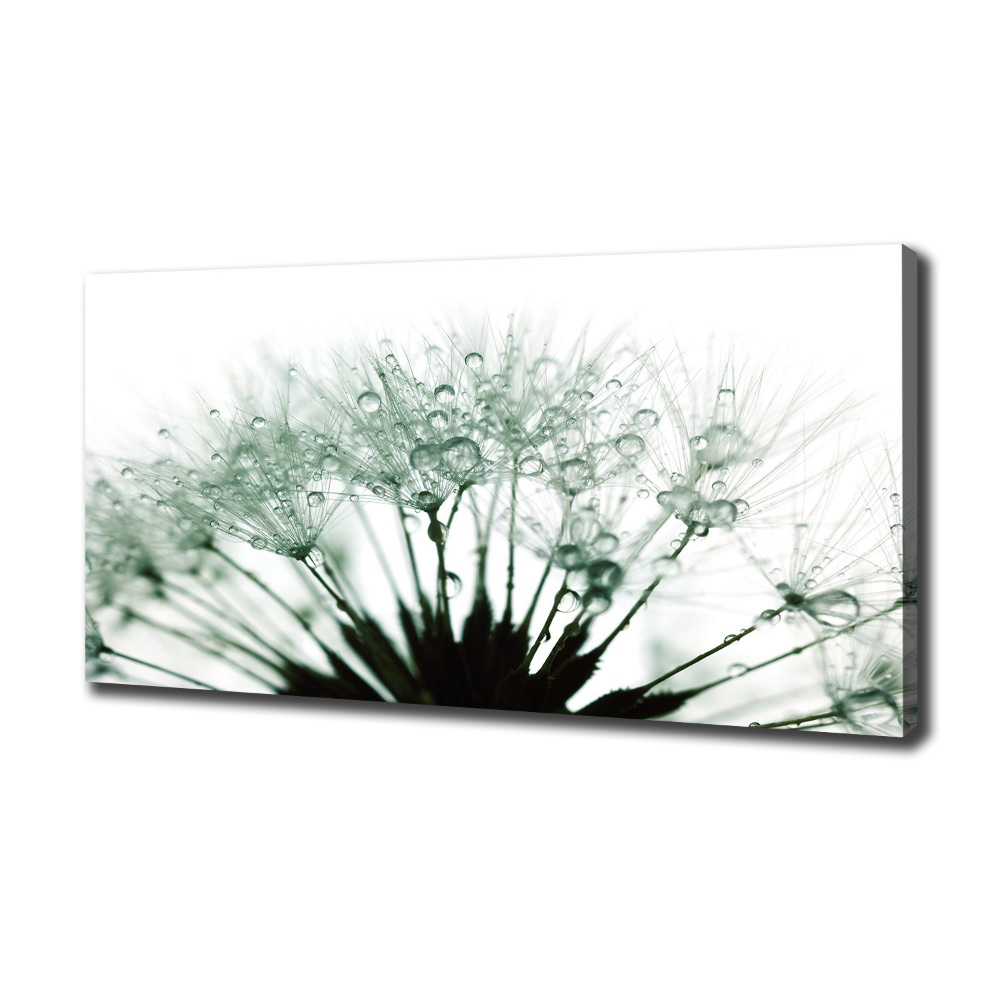 Canvas wall art Dandelion seeds