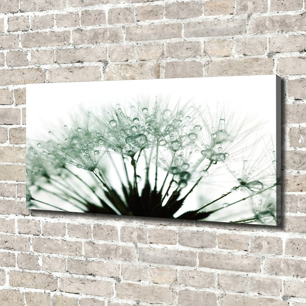 Canvas wall art Dandelion seeds