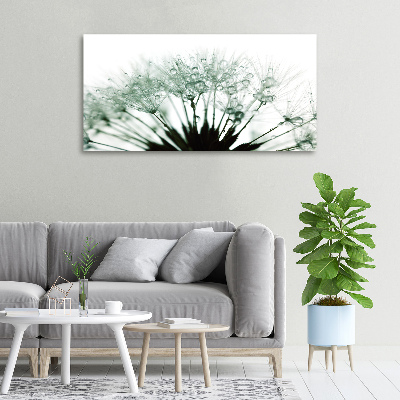 Canvas wall art Dandelion seeds