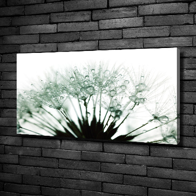 Canvas wall art Dandelion seeds