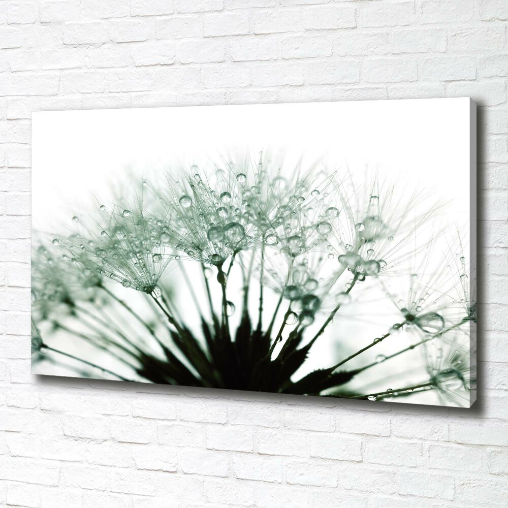 Canvas wall art Dandelion seeds