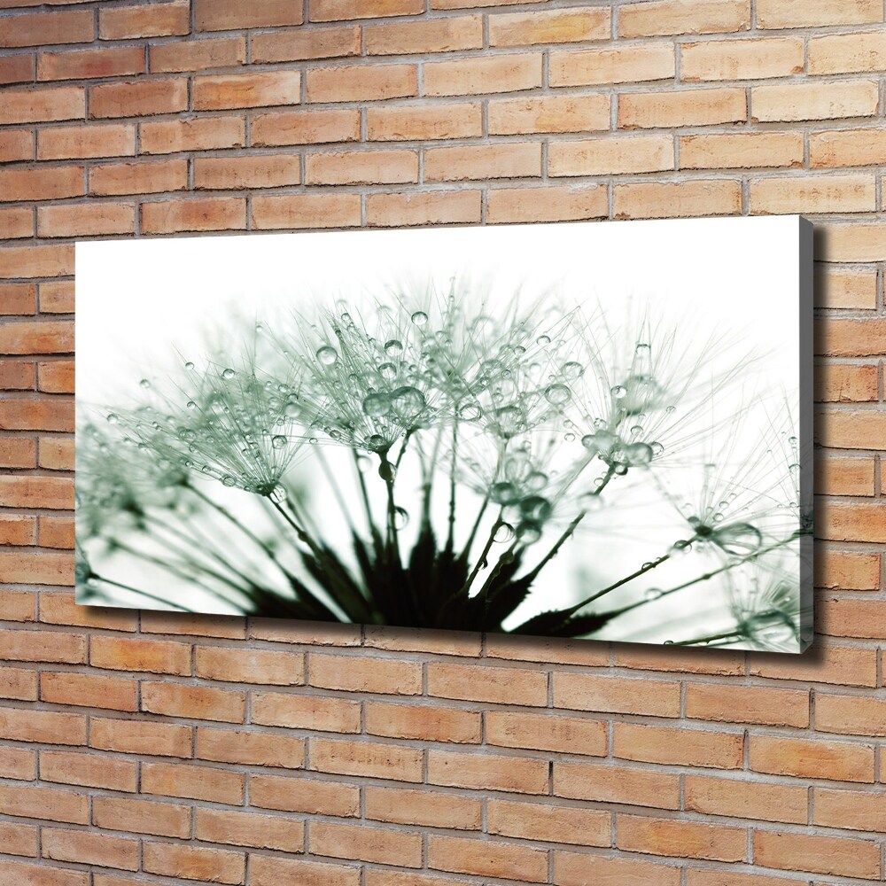 Canvas wall art Dandelion seeds