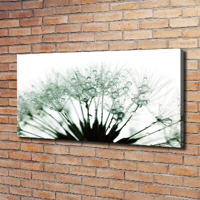 Canvas wall art Dandelion seeds