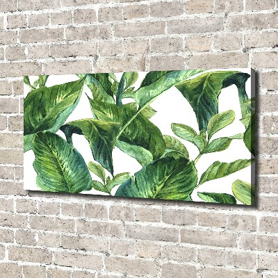 Canvas wall art Leaves