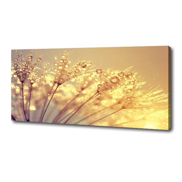 Canvas wall art Dandelion seeds