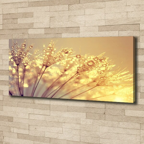 Canvas wall art Dandelion seeds