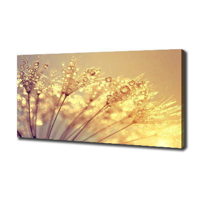 Canvas wall art Dandelion seeds