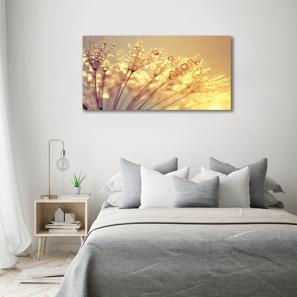 Canvas wall art Dandelion seeds