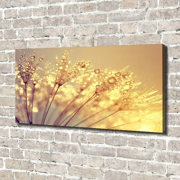 Canvas wall art Dandelion seeds