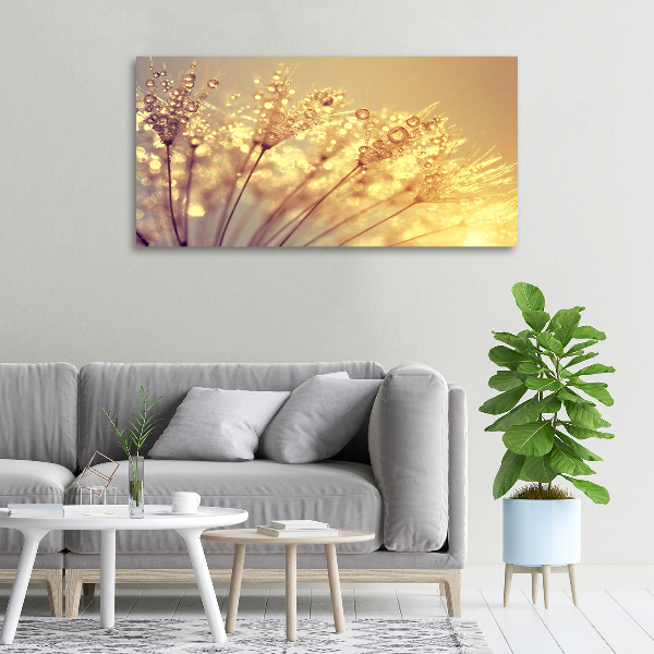 Canvas wall art Dandelion seeds