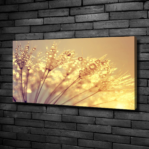 Canvas wall art Dandelion seeds