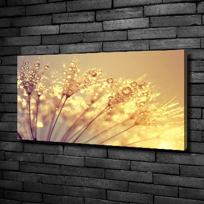 Canvas wall art Dandelion seeds