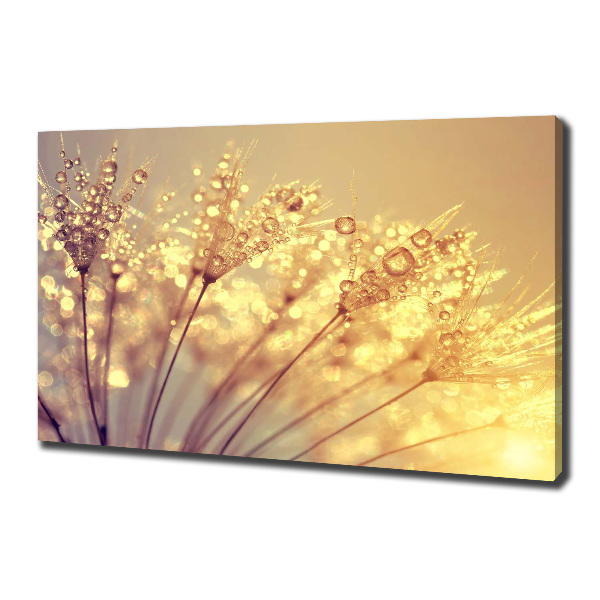 Canvas wall art Dandelion seeds