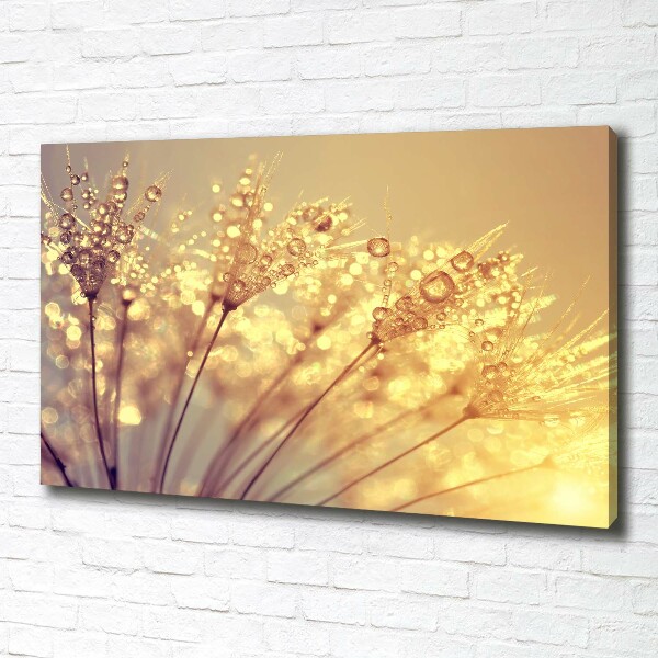 Canvas wall art Dandelion seeds