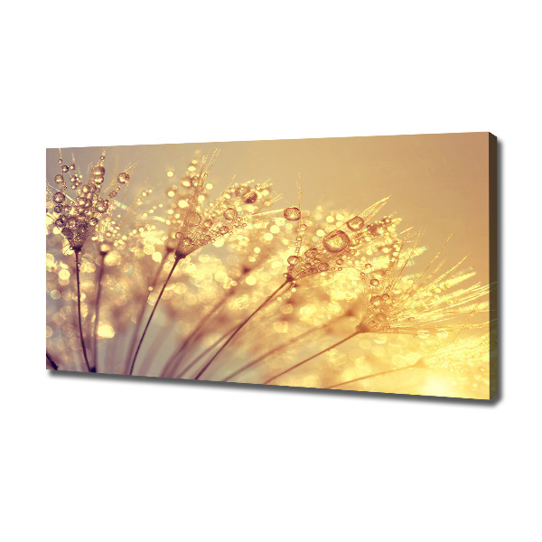 Canvas wall art Dandelion seeds