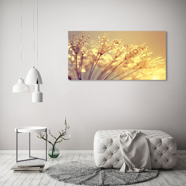 Canvas wall art Dandelion seeds