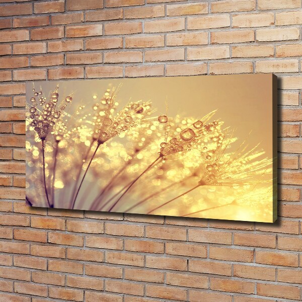 Canvas wall art Dandelion seeds