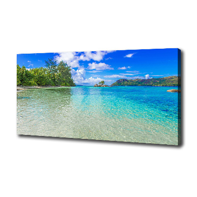 Canvas wall art Seychelles beach