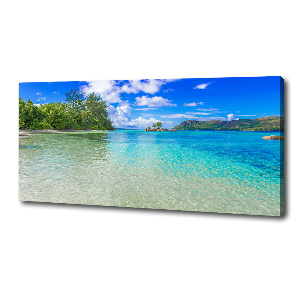 Canvas wall art Seychelles beach