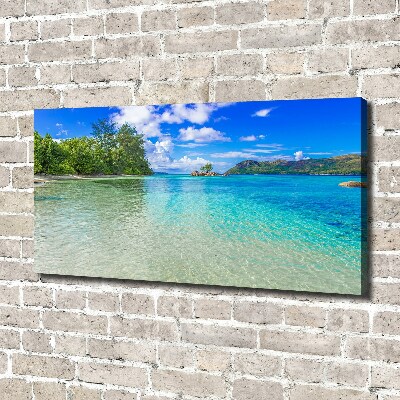 Canvas wall art Seychelles beach