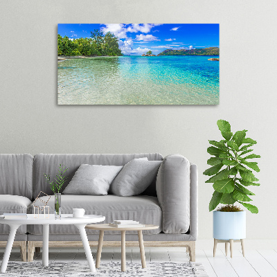 Canvas wall art Seychelles beach