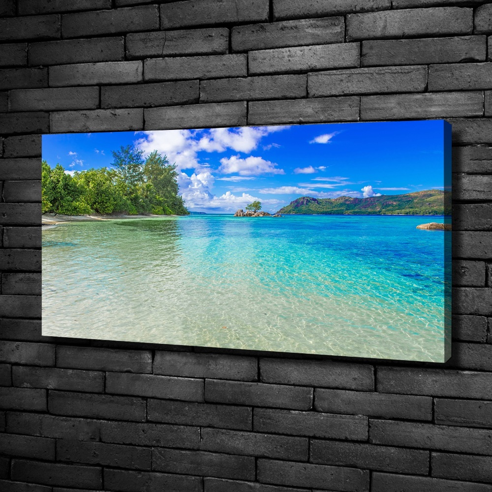 Canvas wall art Seychelles beach