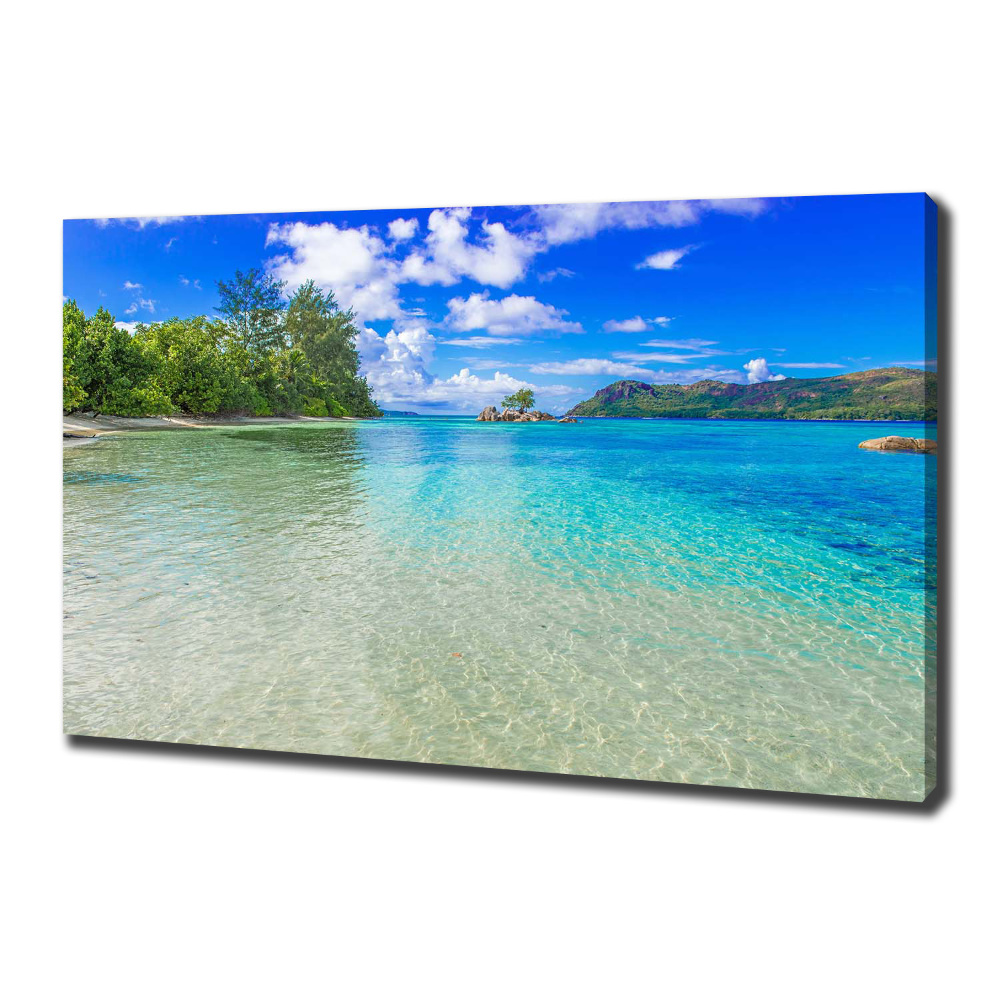 Canvas wall art Seychelles beach