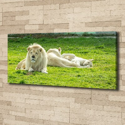 Canvas wall art Beige lions