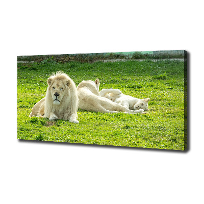 Canvas wall art Beige lions