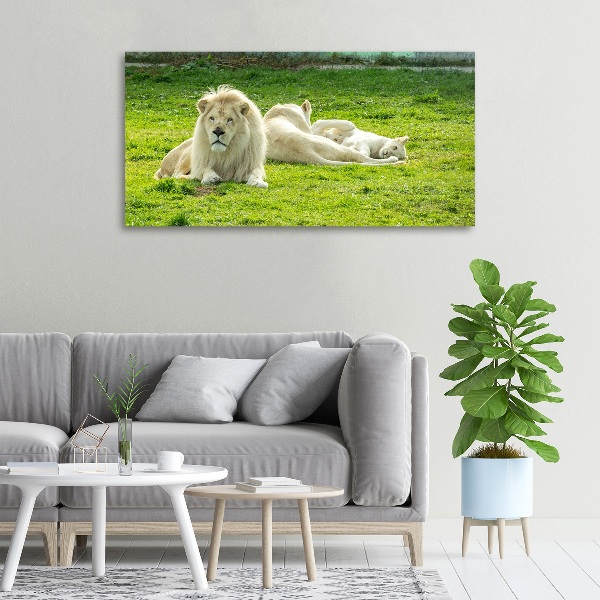 Canvas wall art Beige lions