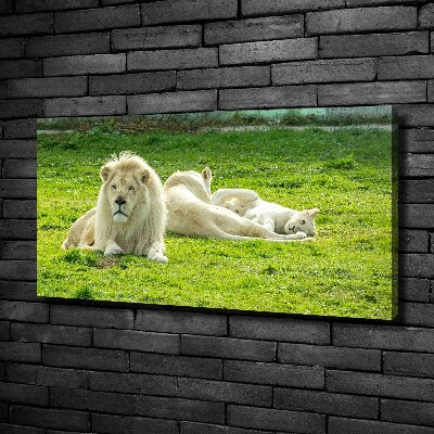 Canvas wall art Beige lions